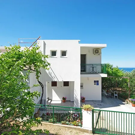 Maslina * Gradac (Split-Dalmatia)
