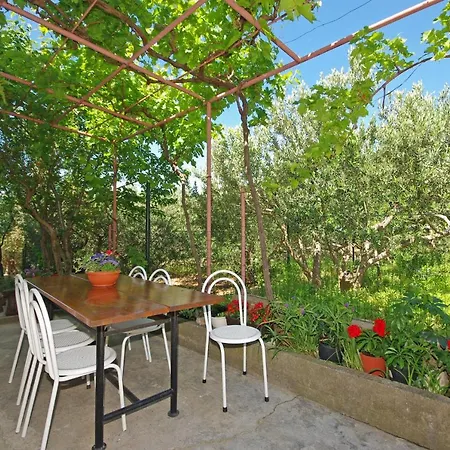 Gasthof Maslina Gradac (Split-Dalmatia)