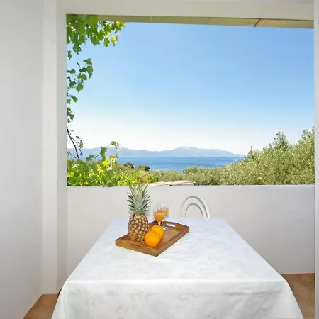 Maslina Gasthuis Gradac (Split-Dalmatia)